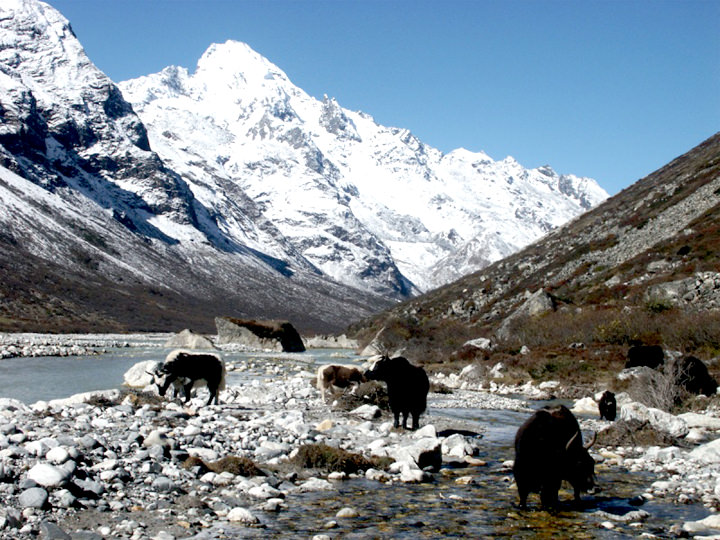 Langtang Trek